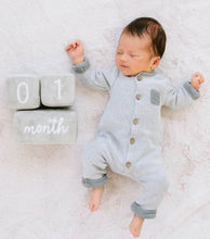 Load image into Gallery viewer, Baby Plush Milestone Age Blocks
