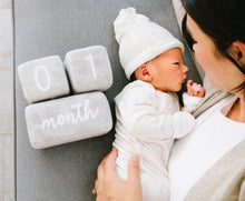 Load image into Gallery viewer, Baby Plush Milestone Age Blocks
