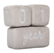 Load image into Gallery viewer, Baby Plush Milestone Age Blocks
